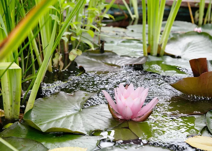 Small-residence דירה