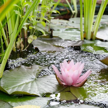 Small-residence Appartement